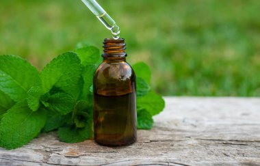 Peppermint essential oil in the garden. Selective focus. nature.