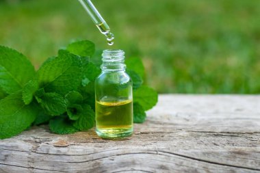 Peppermint essential oil in the garden. Selective focus. nature.