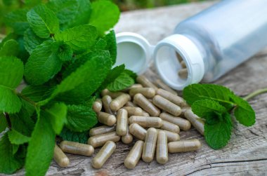 Peppermint essential oil in the garden. Selective focus. nature.