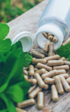 Peppermint essential oil in the garden. Selective focus. nature.