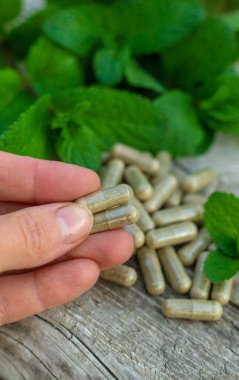 Peppermint essential oil in the garden. Selective focus. nature.