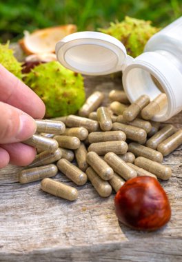 Horse chestnut tincture and supplements. Selective focus. Nature.