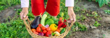 Sebze pazarında. Seçici odaklanma. Yiyecek..