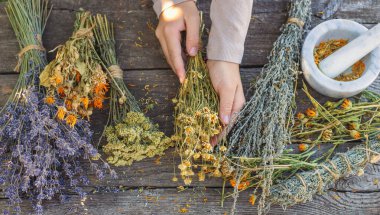 Kurumuş şifalı otları olan bir kadın. Seçici odaklanma. Doğa.