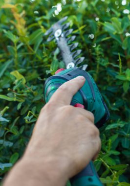 Bir bahçıvan bahçede çalıları buduyor. Seçici odaklanma. Doğa.