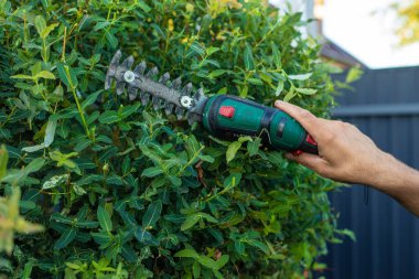 Bir bahçıvan bahçede çalıları buduyor. Seçici odaklanma. Doğa.