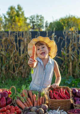 Çiftçi pazarında sebzeli bir çocuk. Seçici odaklanma. Yiyecek..
