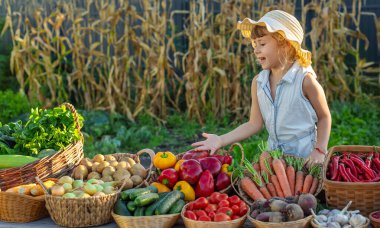 Çiftçi pazarında sebzeli bir çocuk. Seçici odaklanma. Yiyecek..