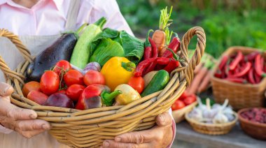 Sebze pazarında. Seçici odaklanma. Yiyecek..
