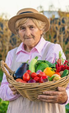 Sebze pazarında. Seçici odaklanma. Yiyecek..
