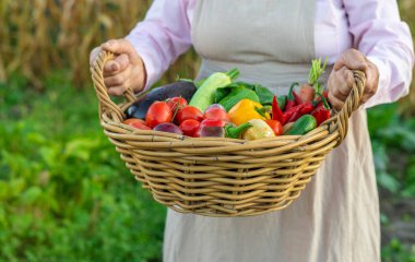 Sebze pazarında. Seçici odaklanma. Yiyecek..