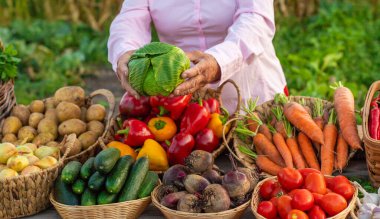 Sebze pazarında. Seçici odaklanma. Yiyecek..