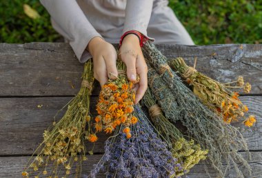 Kurumuş şifalı otları olan bir kadın. Seçici odaklanma. Doğa.