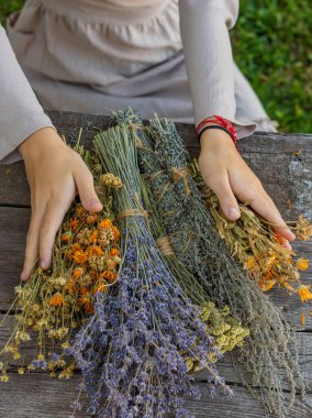 Kurumuş şifalı otları olan bir kadın. Seçici odaklanma. Doğa.