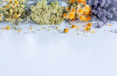 Kurutulmuş şifalı bitkiler ve çiçekler. Seçici odaklanma. Doğa.