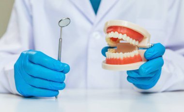 Bir dişçi bir çene modeli gösterir. Seçici odaklanma. İnsanlar.