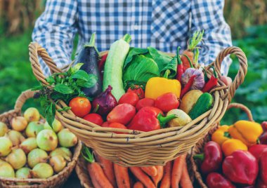 Çiftçi pazarında sebzeli bir çiftçi. Seçici odaklanma. Yiyecek..