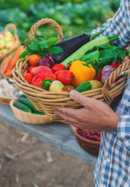 Çiftçi pazarında sebzeli bir çiftçi. Seçici odaklanma. Yiyecek..