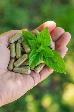 Fesleğen yağı ve takviyeler. Seçici odaklanma. Doğa.