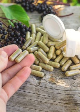 Mürver tentürü ve takviyeler. Seçici odaklanma. Doğa.