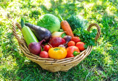 Bahçede bir sepet sebze. Seçici odaklanma. Yiyecek..