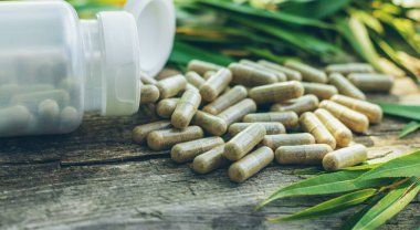 Beyaz söğüt takviyesi ve özü. Seçici odaklanma. Doğa.