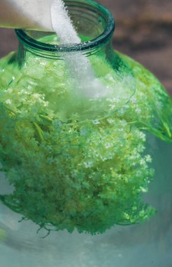 Yaşlı çiçeklerden şampanya. Seçici odaklanma. iç.