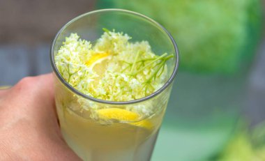 Yaşlı çiçeklerden şampanya. Seçici odaklanma. iç.