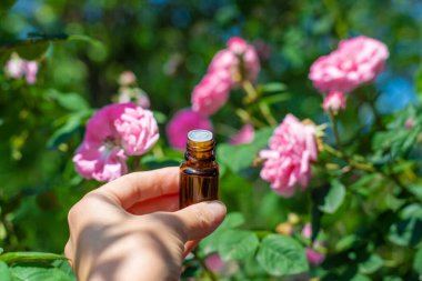 Şişede gül yağı var. Seçici odaklanma. Spa.