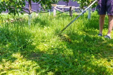 Bahçedeki çimleri biçin. Seçici odaklanma. Doğa.