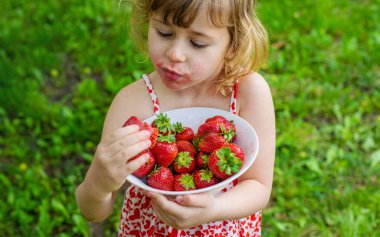 Bahçesinde çilek olan çocuk. Seçici odaklanma. Çocuk.