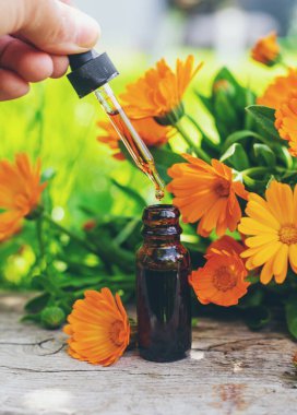 Tıbbi bitki takvimi homeopati. Seçici odaklanma. Doğa.