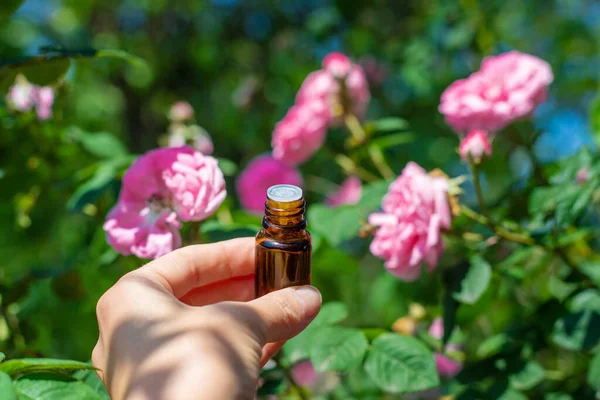 Şişede gül yağı var. Seçici odaklanma. Spa.