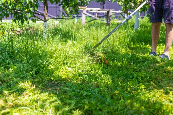 Bahçedeki çimleri biçin. Seçici odaklanma. Doğa.