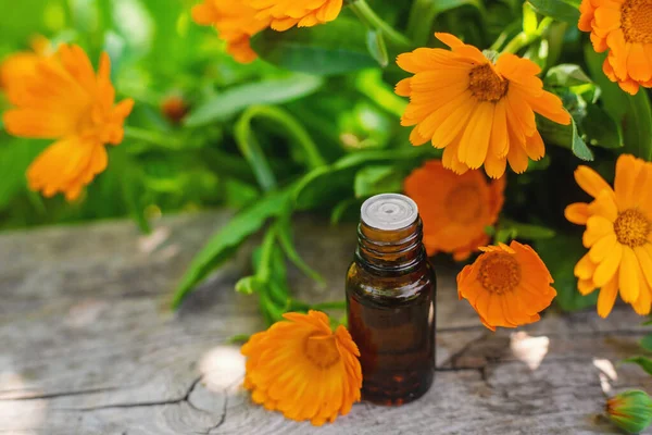 Tıbbi bitki takvimi homeopati. Seçici odaklanma. Doğa.