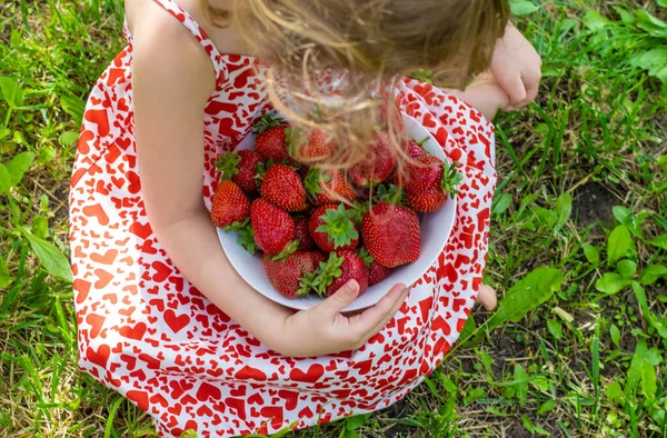 Bahçesinde çilek olan çocuk. Seçici odaklanma. Çocuk.