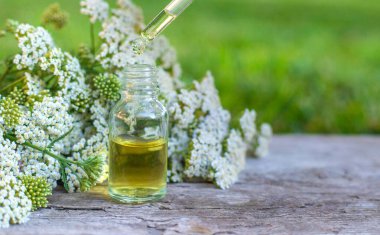 Kemik dokusu takviyesi ve konservatuar homeopati. Seçici odaklanma. Doğa.