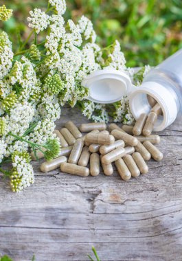 Kemik dokusu takviyesi ve konservatuar homeopati. Seçici odaklanma. Doğa.