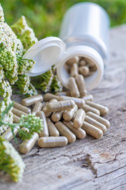 Kemik dokusu takviyesi ve konservatuar homeopati. Seçici odaklanma. Doğa.