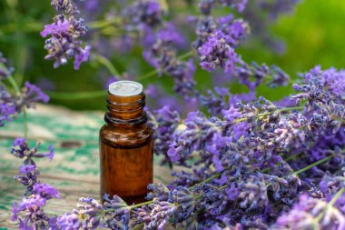 Lavanta yağı ve takviyeler. Seçici odaklanma. Doğa.