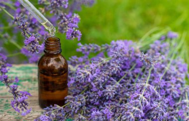 Lavanta yağı ve takviyeler. Seçici odaklanma. Doğa.