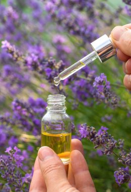 Lavanta yağı ve takviyeler. Seçici odaklanma. Doğa.