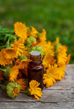 Tıbbi bitki takvimi homeopati. Seçici odaklanma. Doğa.