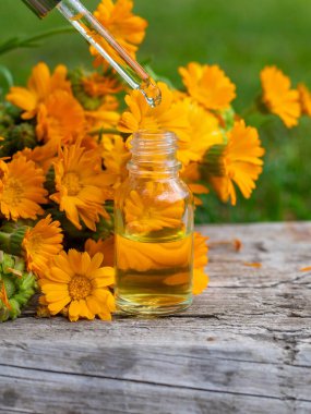 Tıbbi bitki takvimi homeopati. Seçici odaklanma. Doğa.