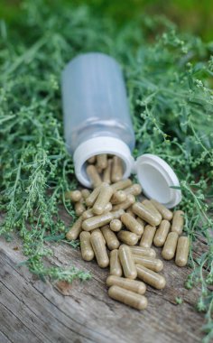 Sagebrush takviyeleri ve homeopati. Seçici odaklanma. Doğa.