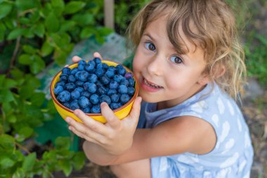 Çocuk ellerinde yabanmersini hasadı. Seçici odaklanma. Doğa.