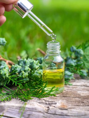 Thuja esaslı yağ ve takviyeler. Seçici odaklanma. Doğa.