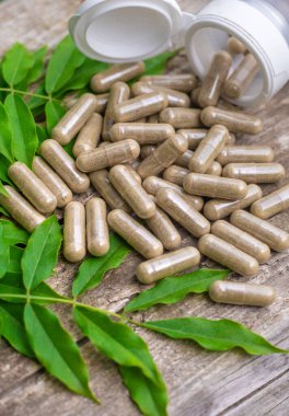 Moringa esaslı yağ ve takviyeler. Seçici odaklanma. Doğa.