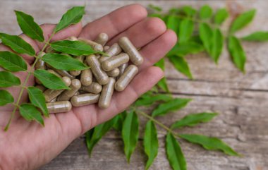 Moringa esaslı yağ ve takviyeler. Seçici odaklanma. Doğa.