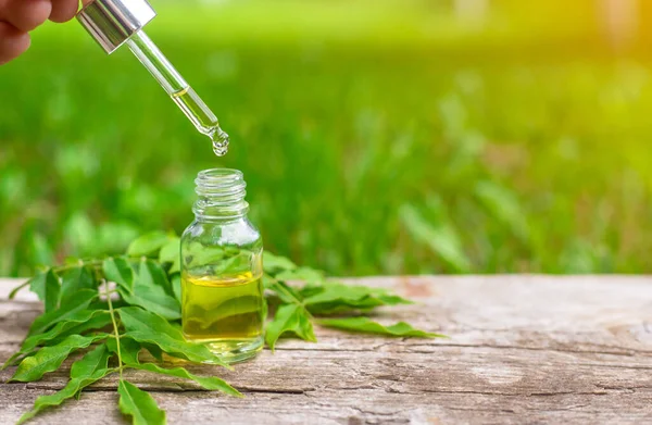 Moringa esaslı yağ ve takviyeler. Seçici odaklanma. Doğa.